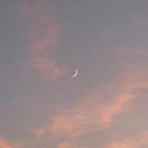 福建妹妹幼儿10岁左右
